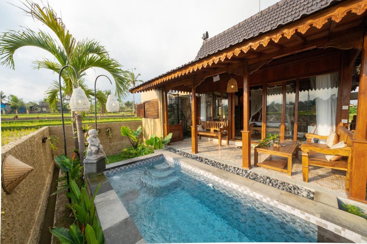 Barong Bali Villas Ubud Kültér fotó