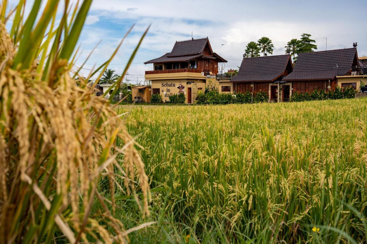 Barong Bali Villas Ubud Kültér fotó