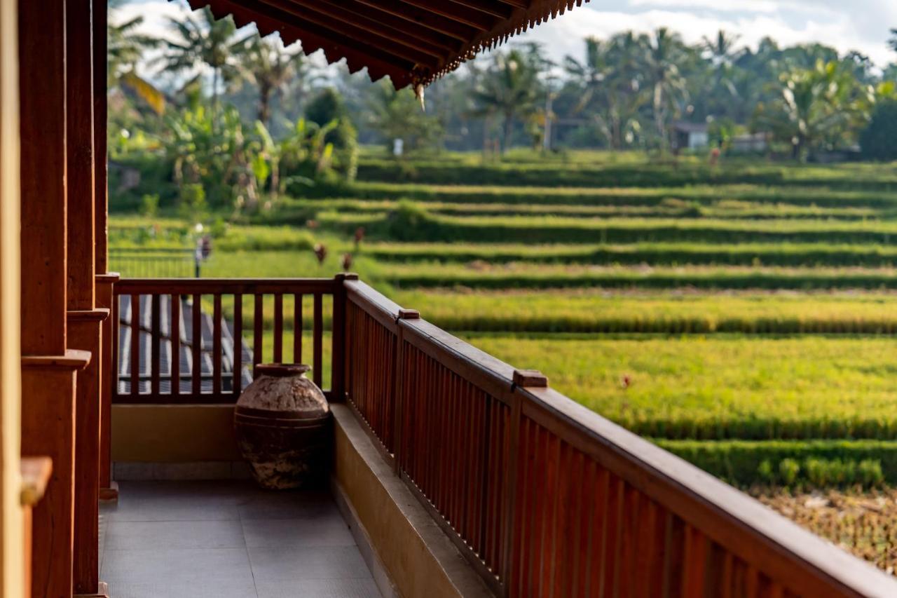 Barong Bali Villas Ubud Kültér fotó